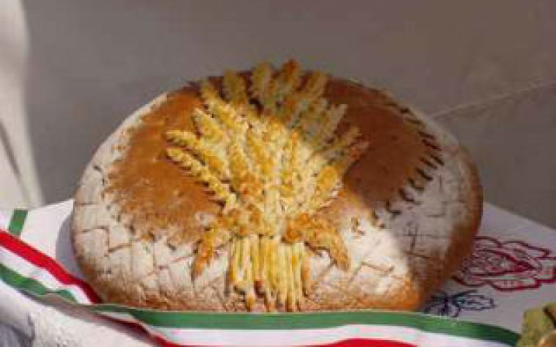 Augusztus 20. Új kenyér ünnepe